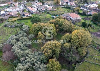 Foto 20 - Terreno agricolo Via Cimitero Civita, Zafferana Etnea - foto 20