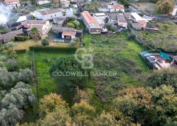 Foto 21 - Terreno agricolo Via Cimitero Civita, Zafferana Etnea - foto 21