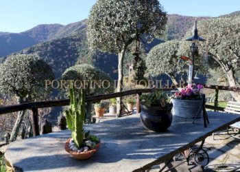 Cucina - Villa piazza Santa Margherita, 1A, Avegno - foto 11