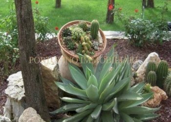 Giardino - Villa piazza Santa Margherita, 1A, Avegno - foto 17