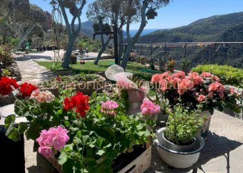 Giardino - Villa piazza Santa Margherita, 1A, Avegno - foto 21