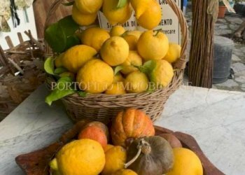 Giardino - Villa piazza Santa Margherita, 1A, Avegno - foto 25