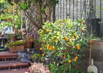 Foto 15 - Appartamento Vico San Procopio, Taormina - foto 15