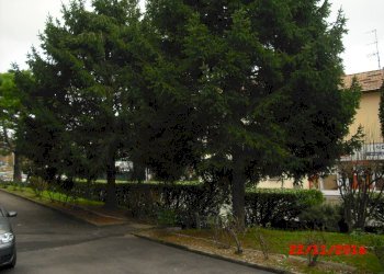 Foto 9 - Trilocale Via Europa
 
50, Cesana Brianza - foto 9