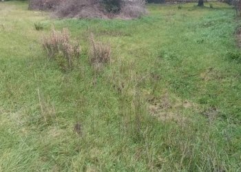 Terreno - Terreno edificabile via Gustavo Bocchini, San Giorgio del Sannio - foto 1