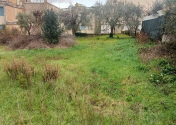 Terreno - Terreno edificabile via Gustavo Bocchini, San Giorgio del Sannio - foto 7