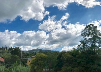 APPARTAMENTO AFFITTO ARREDATO SAN MICHELE DI PAGAN - Bilocale via Fioria, Rapallo - foto 16