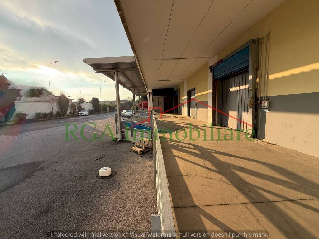 Giardino - Capannone via Vittorio Veneto, Presezzo - foto 1