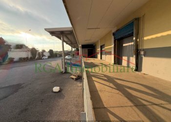 Giardino - Capannone via Vittorio Veneto, Presezzo - foto 1