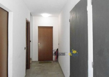 DSC02389.JPG - Appartamento Via Primo Groppi 14, Parma - foto 18