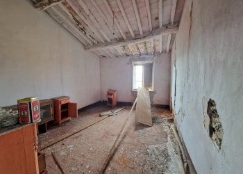 20250827_095725.jpg - Rustico Via di Magazzeno, Lucca - foto 2