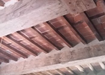 20160728_131803.jpg - Rustico Via di Magazzeno, Lucca - foto 4