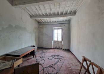 20250827_095744.jpg - Rustico Via di Magazzeno, Lucca - foto 5