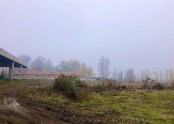 esterno - Capannone Via Suore 27, Castello d'Argile - foto 9