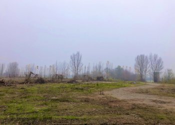 esterno - Capannone Via Suore 27, Castello d'Argile - foto 11