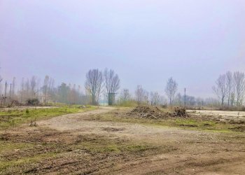 esterno - Capannone Via Suore 27, Castello d'Argile - foto 12