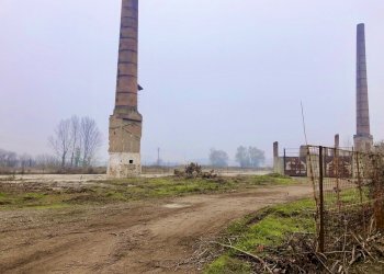 esterno - Capannone Via Suore 27, Castello d'Argile - foto 14