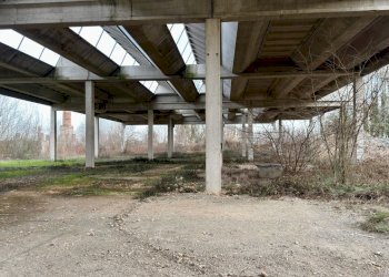 capannone - Shed Via Suore 27, Castello d'Argile - photo 23