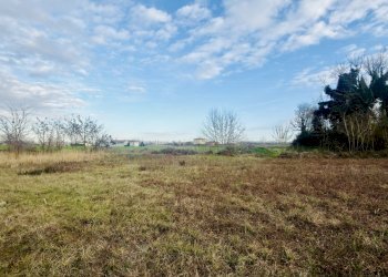 Esterno - Capannone Via Suore 27, Castello d'Argile - foto 11