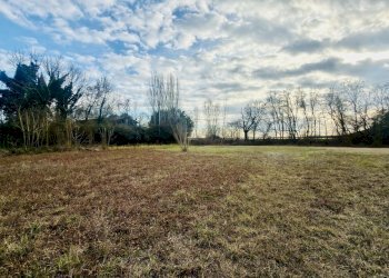 Esterno - Capannone Via Suore 27, Castello d'Argile - foto 12