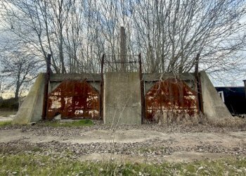 Esterno - Capannone Via Suore 27, Castello d'Argile - foto 14