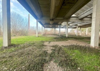 Esterno - Capannone Via Suore 27, Castello d'Argile - foto 18