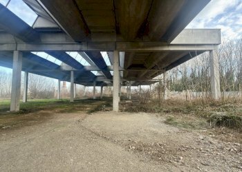 Esterno - Capannone Via Suore 27, Castello d'Argile - foto 21