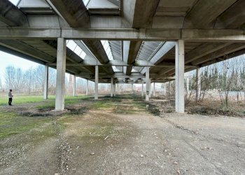 Esterno - Capannone Via Suore 27, Castello d'Argile - foto 24