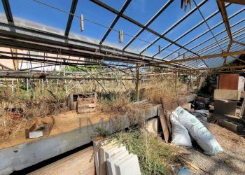 Immagine WhatsApp 2025-07-29 ore 11.24.15_932017d6 - Magazzino Strada Statale 1 35, Camporosso - foto 12