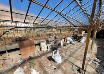 Immagine WhatsApp 2025-07-29 ore 11.24.23_b29d8f86 - Magazzino Strada Statale 1 35, Camporosso - foto 15