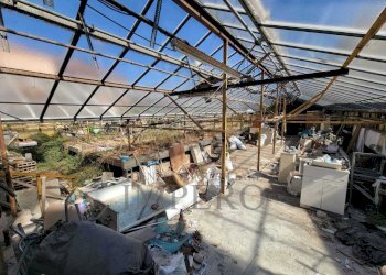 Immagine WhatsApp 2025-07-29 ore 11.24.25_21489aac - Magazzino Strada Statale 1 35, Camporosso - foto 22