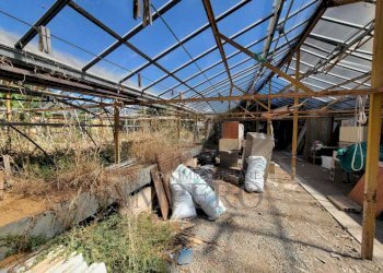 Immagine WhatsApp 2025-07-29 ore 11.24.15_ee1fea5d - Magazzino Strada Statale 1 35, Camporosso - foto 13