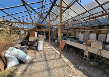 Immagine WhatsApp 2025-07-29 ore 11.24.22_a7d8ba5f - Magazzino Strada Statale 1 35, Camporosso - foto 14