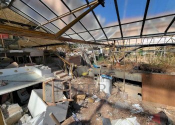 Immagine WhatsApp 2025-07-29 ore 11.24.23_e57d7e18 - Magazzino Strada Statale 1 35, Camporosso - foto 16