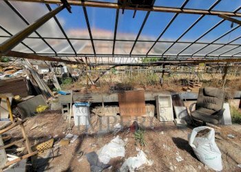 Immagine WhatsApp 2025-07-29 ore 11.24.24_9b97c44d - Magazzino Strada Statale 1 35, Camporosso - foto 17