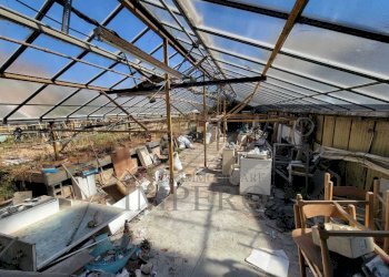 Immagine WhatsApp 2025-07-29 ore 11.24.25_3df7c217 - Magazzino Strada Statale 1 35, Camporosso - foto 19