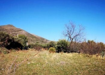 3.jpg - Building land at auction Via Vicinale Vecchia per Peagna 6, Ceriale - photo 3