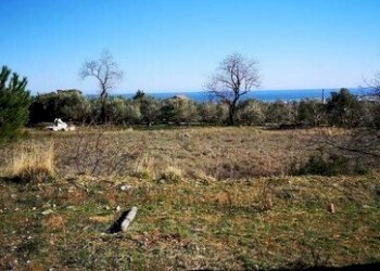 5.jpg - Building land at auction Via Vicinale Vecchia per Peagna 6, Ceriale - photo 5