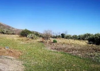 7.jpg - Building land at auction Via Vicinale Vecchia per Peagna 6, Ceriale - photo 6