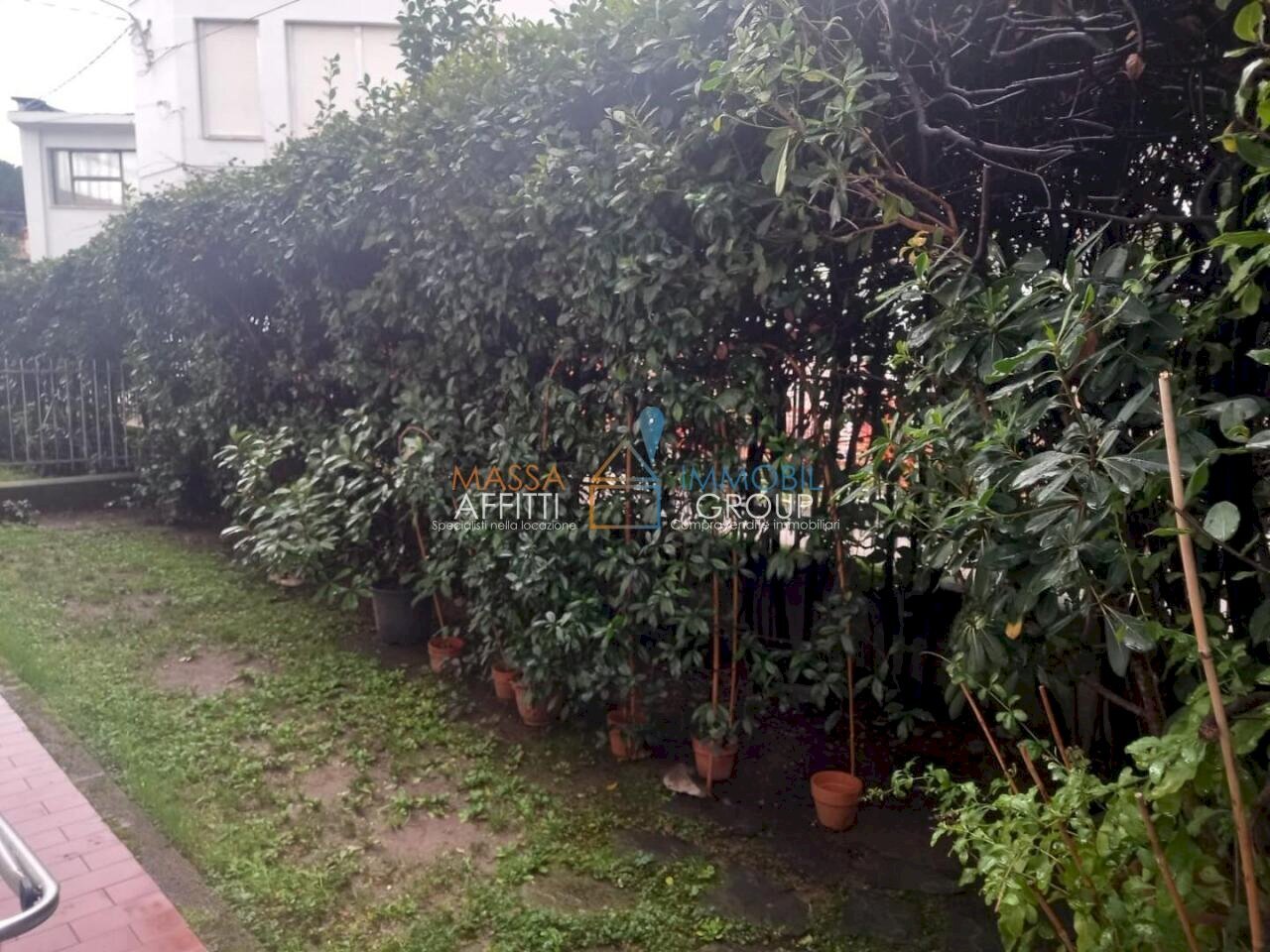 1.jpg - Four-room apartment Viale Stazioni 61, Massa - photo 3