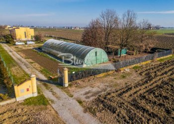 Box Campogalliano - foto 3