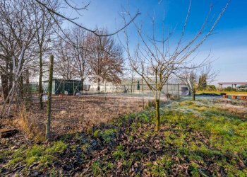 Box Campogalliano - foto 28