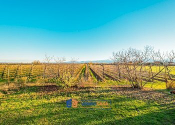 Independent house Fossano - photo 30