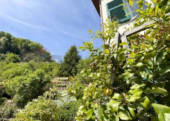 Villa a Schiera Via Marseno, 24 
 Ceranesi, Ceranesi - foto 100