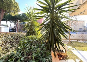 Bilocale Viale Verdi, Riccione - foto 8