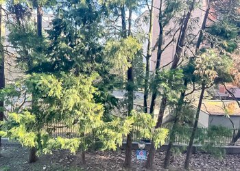 Two-room apartment Segrate - photo 13