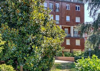 Two-room apartment Segrate - photo 40