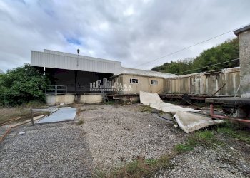 Foto 3 - Capannone contrada san silvestro
 
83, Cupra Marittima - foto 3