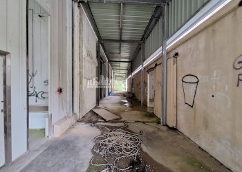 Foto 6 - Capannone contrada san silvestro
 
83, Cupra Marittima - foto 6