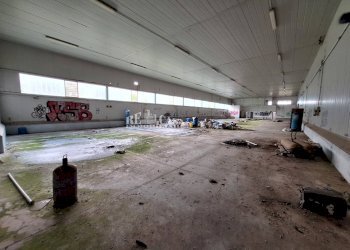 Foto 7 - Capannone contrada san silvestro
 
83, Cupra Marittima - foto 7